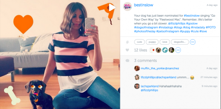 Dog singing slow your own way 