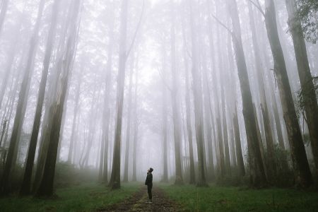 Dom Dom Saddle Ground - Lake Mountain